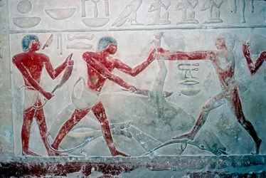 Vægmaleri af 3 slagtere, der skærer en slagtekrop op, Iduts grav, 5. dynasti, c2350 f.Kr.