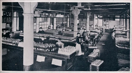 Hvor den berømte Yorkshire Relish består, 1906