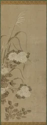 Hvide krysantemum og græsser, Edo-perioden, 1615-1868.