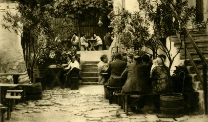 Vingård i Grinzing, Wien, Østrig, c1935.