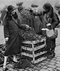 Kvinder vælger bundter af mistelten, Caledonian Market, London, 1926-1927