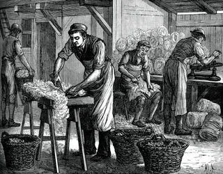 Uldsorterer, c1880