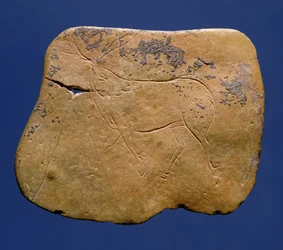 Rensdyr, indskåret tegning på kalksten, Paleolithic, Magdalenian V, fra Laugerie Basse, Dordogne, ca. 12000 f.Kr.