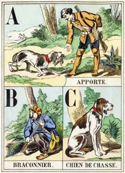 A B C: Bring, Krybskytte, Jagthund - Jagtalfabetet, ca. 1890 (gravering)