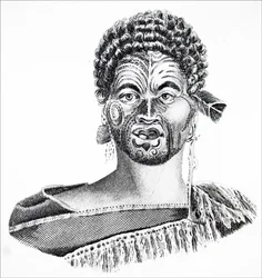 En maori visdom