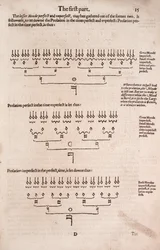 En enkel og nem introduktion til praktisk musik,