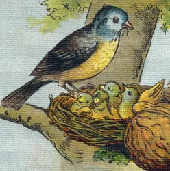 En fugl fodrer sine unger i en rede. Indgravering i "Alphabet de ma petite fille". Bernardin-Bechet og Fils, boghandler-forlag, Paris, omkring 1895. Ubrydeligt album på lærred. Bibliotheque des babes. 12 sider. Album indeholdende en læsemetode og en illu