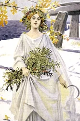 En druide plukker mistelten, ca. 1900 (illustration)