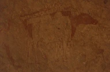 Algeriet, Sahara-ørkenen, Tassili-n-Ajjer Nationalpark, stedet for Sefar, klippemaleri af tyr.