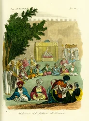 Publikum med sultanen af Bornu