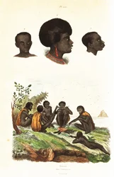 Australske aboriginer og overhoveder for indfødte fra Waigeo, Vestpapua1834-1839 (gravering)