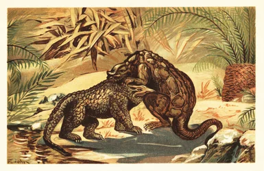 Kamp mellem en Megalosaurus bucklandii og Iguanodon bernissar1908 (litografi)