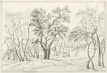 Cannock Chase: pen- og blyantstegning, nd [?1800-tallet]