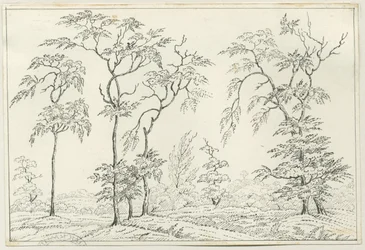 Cannock Chase: pen- og blyantstegning, nd [?1800-tallet]
