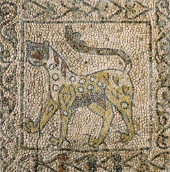 Sankt Johannes Evangelistens kirke, fjerde korstog, fragmenter af mosaikgulv med en plettet panter, Ravenna, Emilia-Romagna, Italien