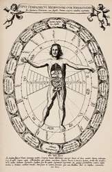 Korrespondance mellem mikrokosmos og makrokosmos. Planche taget fra "Mundus subterraneus" af Athanase Kircher (1601-1680)
