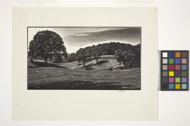 Country Scene (blæk)