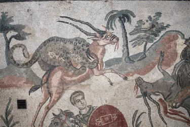 Detalje af den store jagtmosaik. En leopard angriber en gazelle. 3. - 4. århundrede. Roman Villa of the Casale, Sicilien. UNESCO-sted.