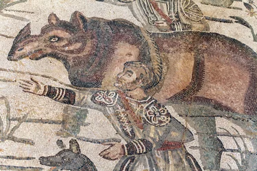 Detalje af den store jagtmosaik. Et næsehorn bliver ført op på en båd for at blive transporteret til den nærmeste havn. 3. - 4. århundrede. Roman Villa of the Casale, Sicilien. UNESCO-sted.