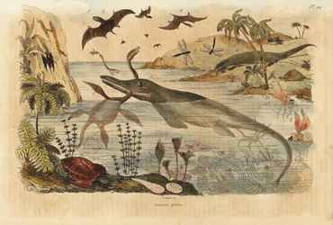 Uddøde dinosaurer, ichthyosaur, plesiosaur, havdyr, pterodactyler, firben, skildpadder, insekter, fisk, blæksprutter, bløddyr osv.