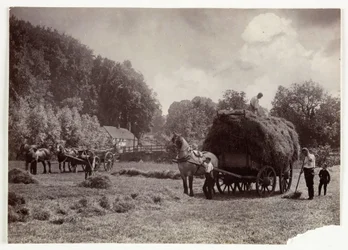 Landbrugsscener, høst og opbevaring, høproduktion før 1900, ca. 1890