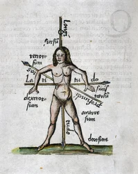 1500-tallets geografi: menneskelig figur, der repræsenterer længde- og breddegrader, hans krop krydses af lanser orienteret efter vinklerne på imaginære linjer
