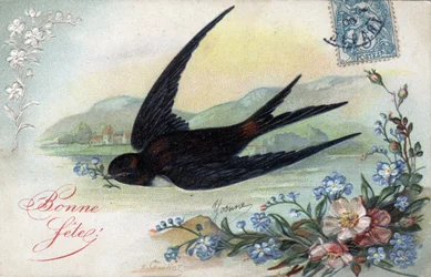 Happy Birthcard: Swallow bringing a flower - Postkort dateret 1906