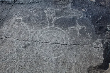 Indianske helleristninger - Dyre- og symbolfremstillinger - Petroglyph National Monument - Albuquerque, New Mexico, USA (USA)