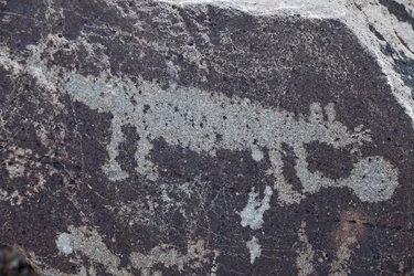 Indianske helleristninger, der forestiller dyr - Petroglyph National Monument - Albuquerque, New Mexico, USA (USA)