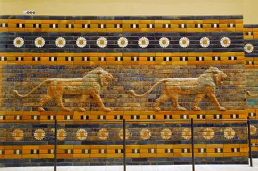 Ishtarporten, oprindeligt tilhørende Bels tempel, bygget i Babylon (Irak) af kong Nebukadnezar 2. - Ishtarportens processionsvej, Pergamonmuseet, Museumsøen, Berlin, Tyskland