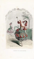 La fee de la fleur de grenade danse - Radering af Charles Geoffroy (1819-1882), baseret på en illustration af Jean Ignace Isidore Gerard dit J.J.J.Granville (1803-1847), for Les fleurs animees