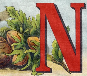 Bogstav N: hasselnødder. Indgravering i "Alphabet de ma petite fille". Bernardin-Bechet og Fils, boghandler-forlag, Paris, omkring 1895. Ubrydeligt album på lærred. Bibliotheque des Bebes. 12 sider. Album indeholdende en læsemetode og en illustrativ abec