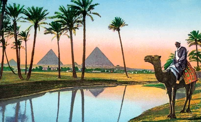 Mand på kamel betragter pyramiderne i Gizeh, ca. 1900 (chromolitho)