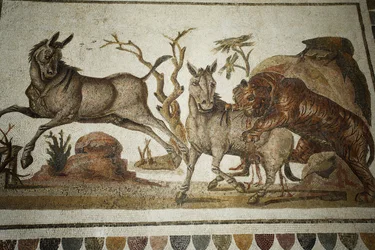 Mosaik af dyrekampe: tiger, der overfalder to nat-primagre. II s AD/Musee d