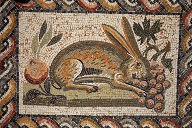 Mosaik, der repræsenterer en hare med et spionblik, der græsser en klase druer (2. halvdel af det 2. århundrede e.Kr.)/in situ en El Jem (Antik Thysdrus)/Tunesien