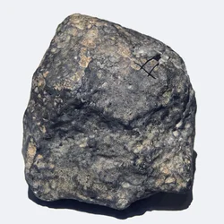 Almindelig kondrit (L/LL5). Faldet i Ukraine i 1866. Det Nationale Naturhistoriske Museum, Paris.