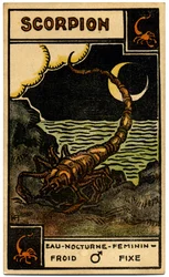 Paranormalt. Astrologi. Skorpionen (Skorpionen). Astrologisk kort fra: Le Tarot Astrologique (Astrologisk Tarot), af Georges Muchery, Frankrig