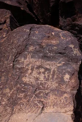 Helleristninger, der forestiller dyr og figurer - Petroglyph National Monument - Albuquerque, New Mexico, USA (USA)