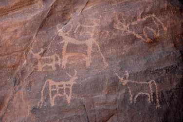 Klippekunst, Prehistoire: Indgravering af et sæt kvæg, hvoraf det ene er nederst til venstre, i Uweinat-massivet, Egypten. (Periode fra 8000 til 3000 år f.Kr.). Fotografering