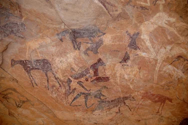 Klippekunst, forhistorie: Kvægklippemaleri, det ene knæ i et læ udsmykket i Uweinat-massivet, Sudan (Karkur-Talh eller Karkur Talh). Periode fra 8000 til 3000 år f.Kr. Fotografering