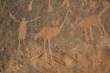Klippekunst, forhistorie: Indgravering af en karakter og strudse i Uweinat-massivet, Sudan (Karkur-Talh eller Karkur Talh). Periode fra 8000 til 3000 år f.Kr. Fotografering