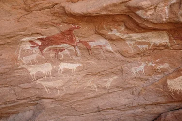 Klippekunst, forhistorie: Maleri af et sæt kvæg i et udsmykket husly i Uweinat-massivet, Sudan (Karkur-Talh eller Karkur Talh). Periode fra 8000 til 3000 år f.Kr. Fotografering