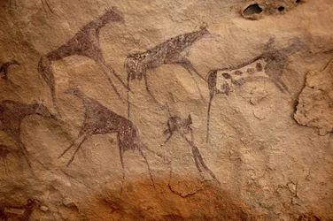 Klippekunst, forhistorie: Klippemaleri af en gruppe kvæg og polykrome figurer i et udsmykket husly i Uweinat-massivet, Sudan. Periode fra 8000 til 3000 år f.Kr. Fotografering
