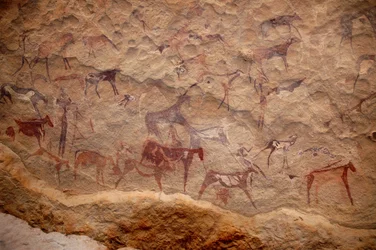 Klippekunst, forhistorie: Klippemaleri af en gruppe kvæg og polykrome karakterer (hyrder og bueskytter) i et udsmykket husly i Uweinat-massivet, Sudan. Periode fra 8000 til 3000 år f.Kr. Fotografering