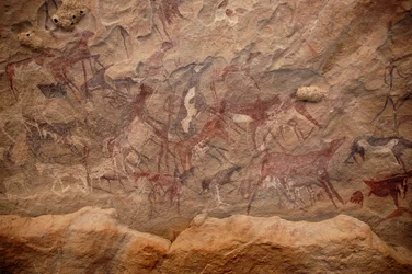 Klippekunst, forhistorie: Klippemaleri af en gruppe kvæg og polykrome figurer i et udsmykket husly i Uweinat-massivet, Sudan. Periode fra 8000 til 3000 år f.Kr. Fotografering