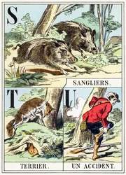 S T U : Sanglier, Terrier, Un accident - Jagtalfabetet, ca. 1890 (gravering)