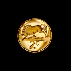 Sydafrikansk 2-cent-mønt