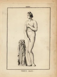 Statue af Venus Doree (guld), romersk gudinde for kærlighed, skønhed, sex og frugtbarhed