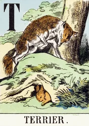 T : Terrier - Jagtalfabetet, ca. 1890 (gravering)