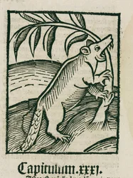 Bæveren